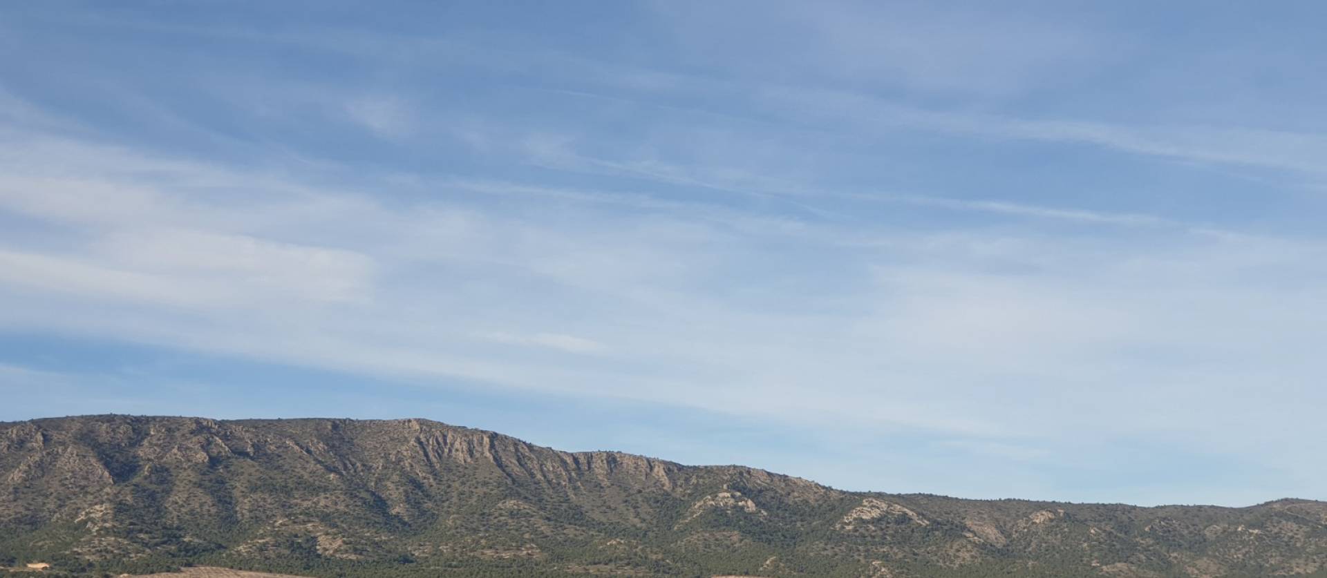 Revente - Land - Pinoso