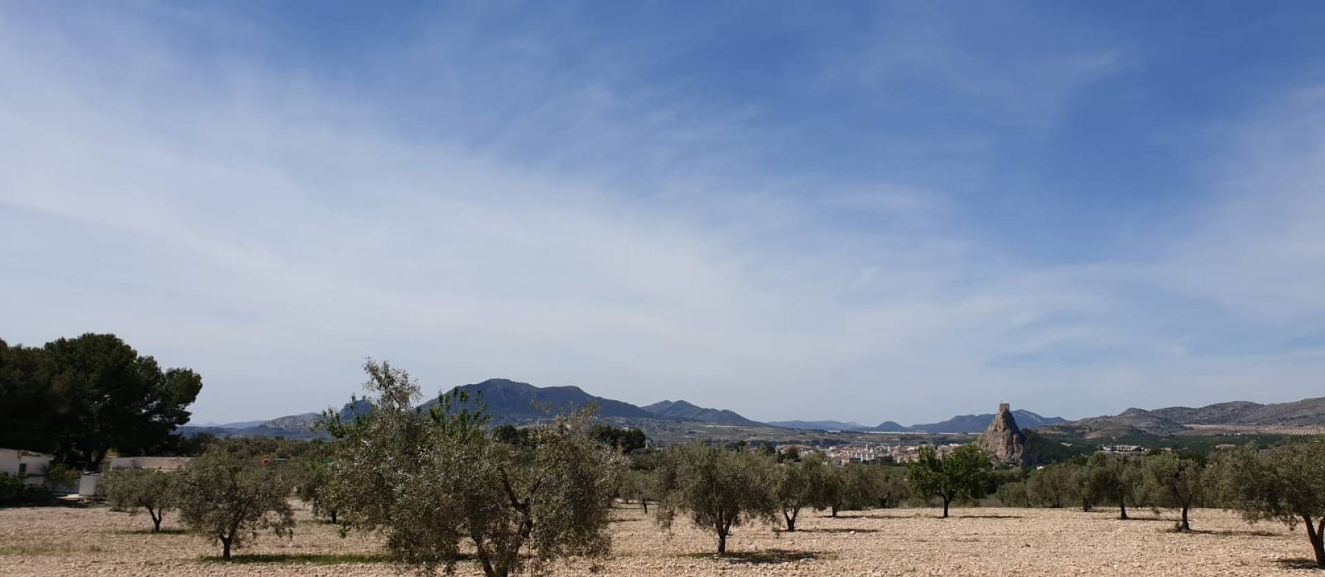 Revente - Land - Sax