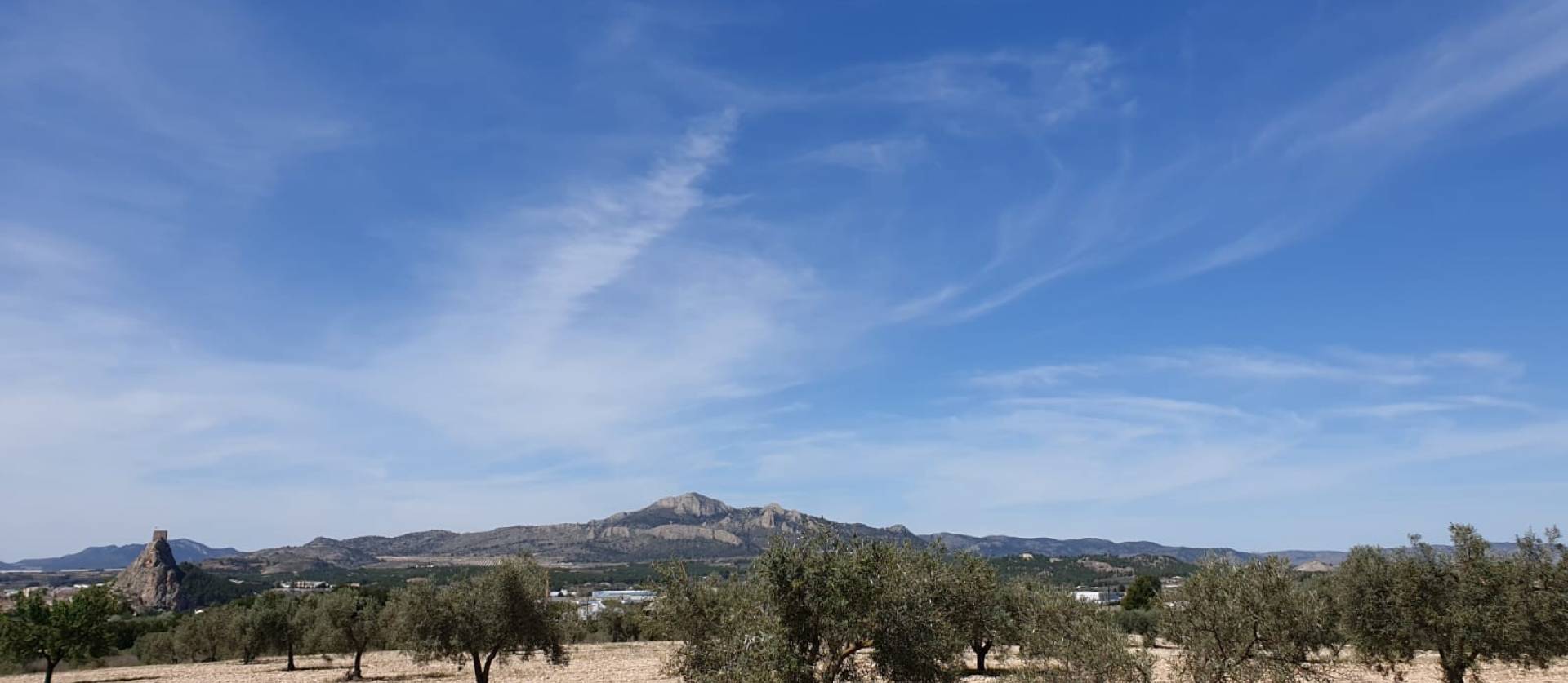 Revente - Land - Sax