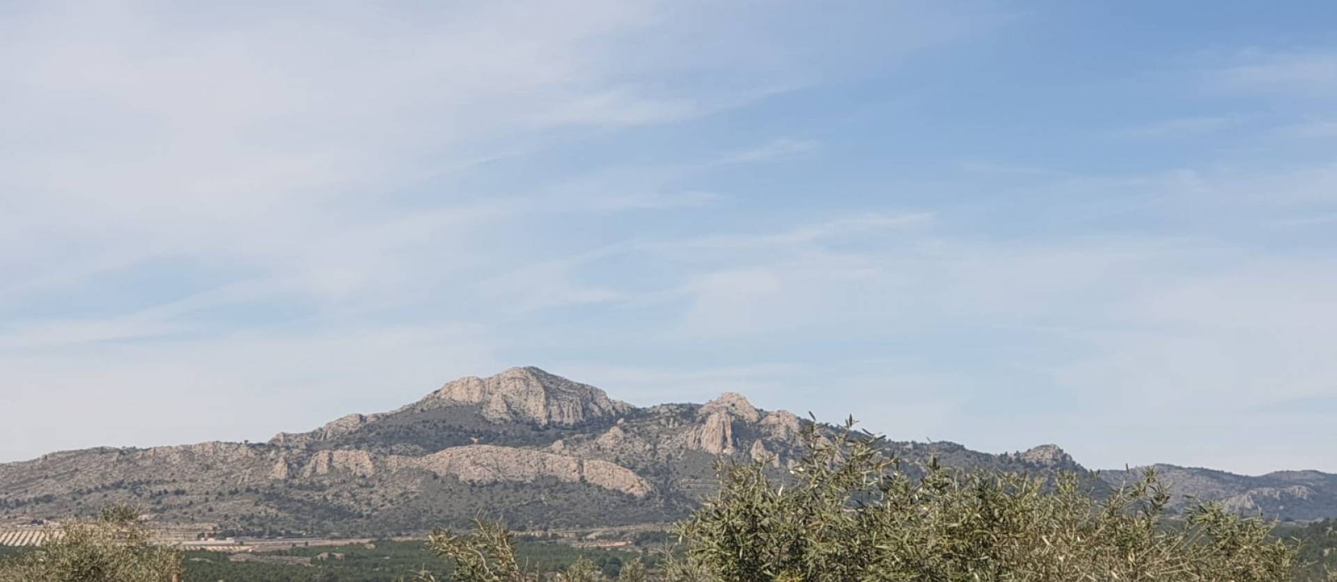 Revente - Land - Sax