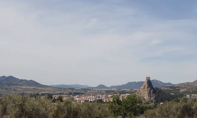 Revente - Land - Sax