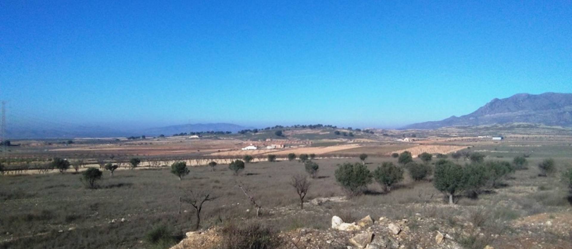 Revente - Land - Torre del Rico