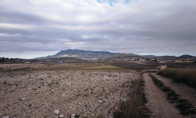 Revente - Land - Torre del Rico