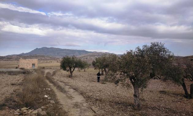 Revente - Land - Torre del Rico
