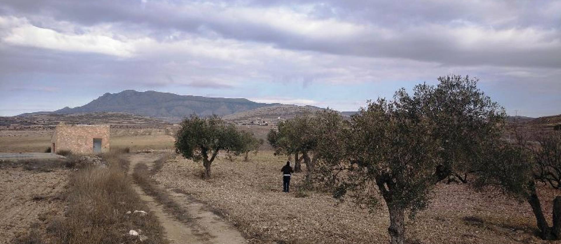 Revente - Land - Torre del Rico