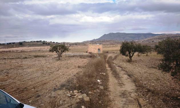 Revente - Land - Torre del Rico