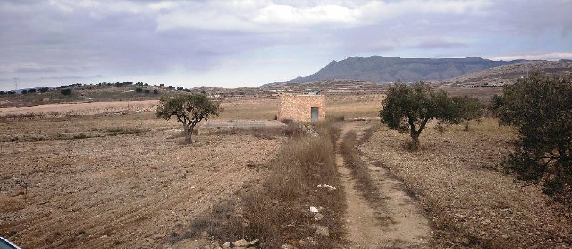 Revente - Land - Torre del Rico