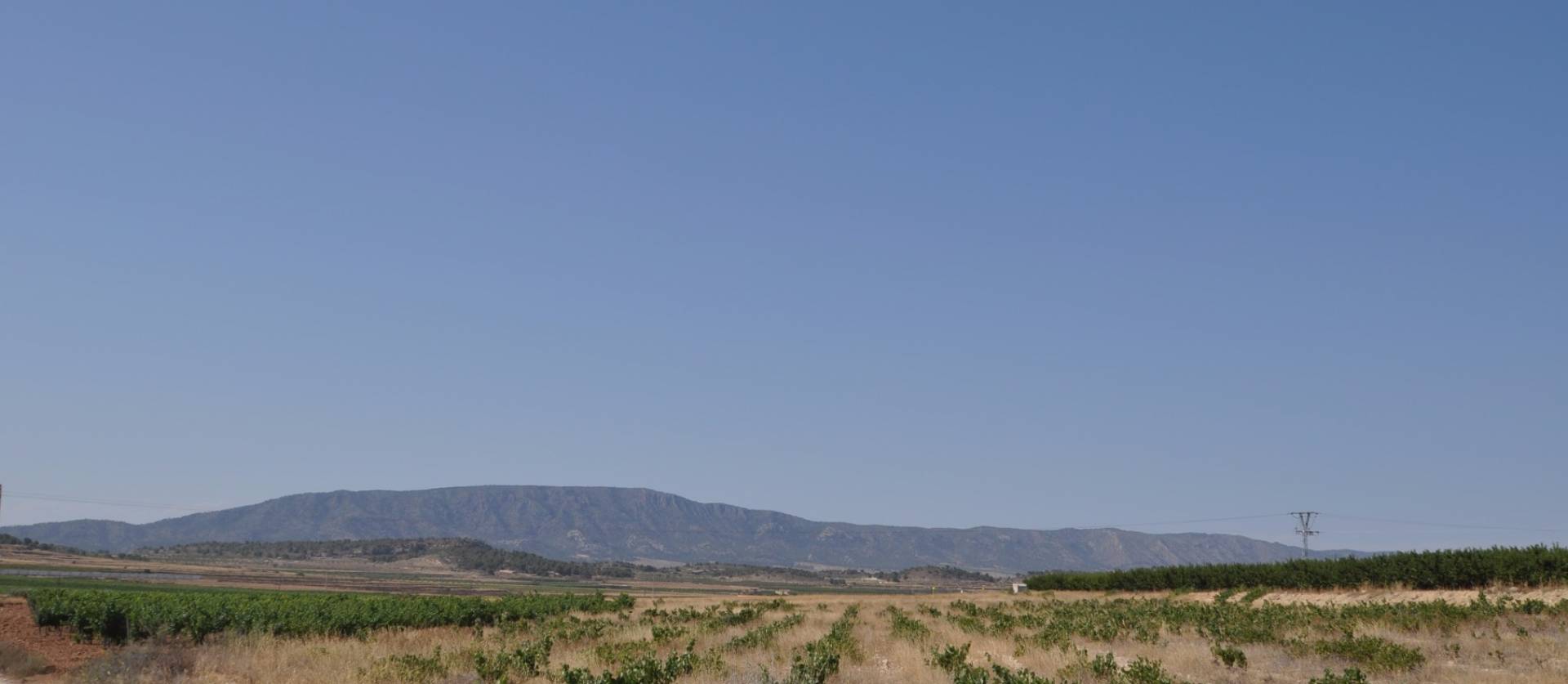 Revente - Land - Pinoso