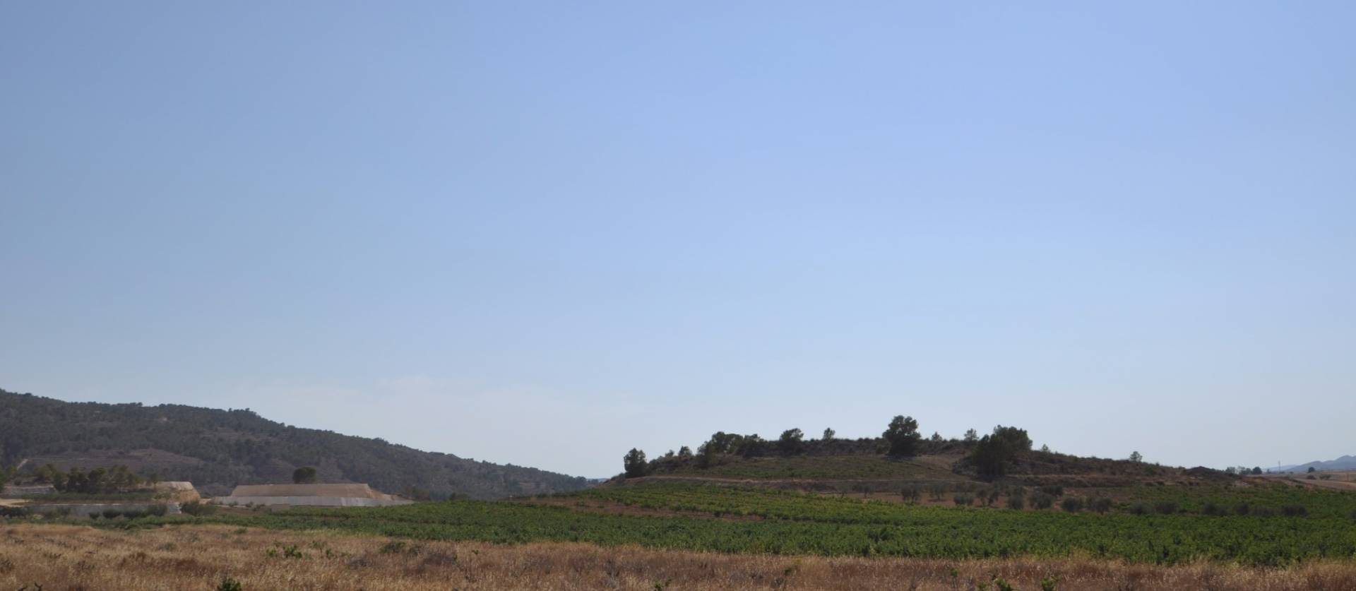 Revente - Land - Pinoso