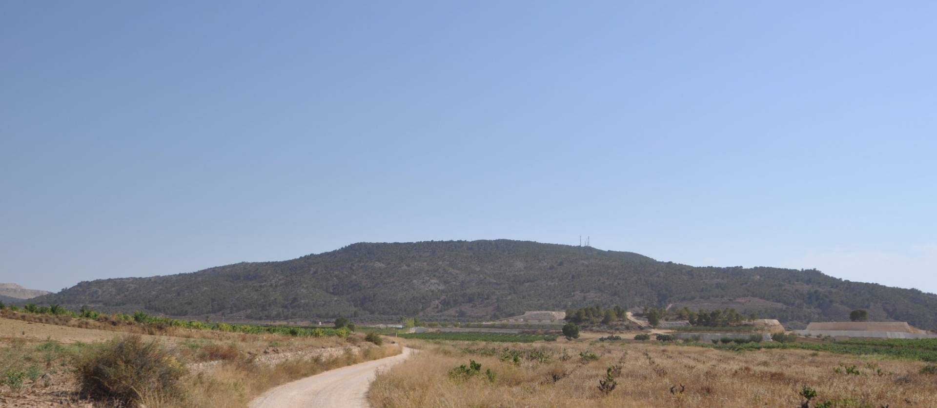 Revente - Land - Pinoso