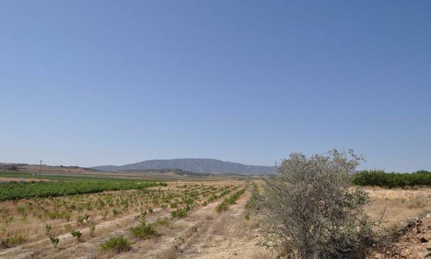 Revente - Land - Pinoso