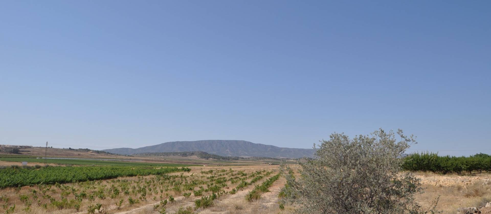 Revente - Land - Pinoso