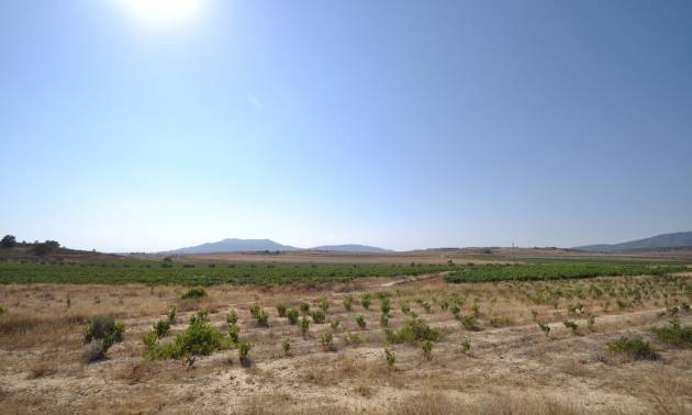 Revente - Land - Pinoso