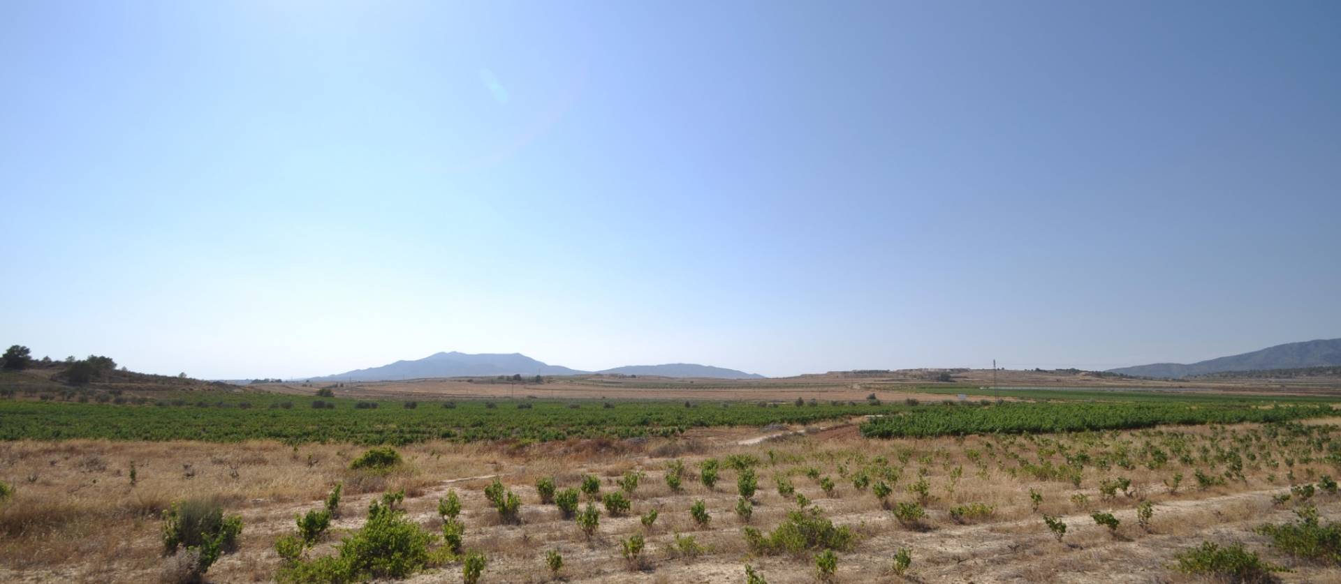 Revente - Land - Pinoso