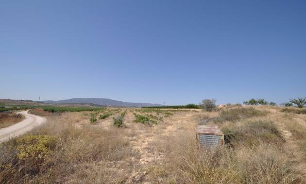 Revente - Land - Pinoso
