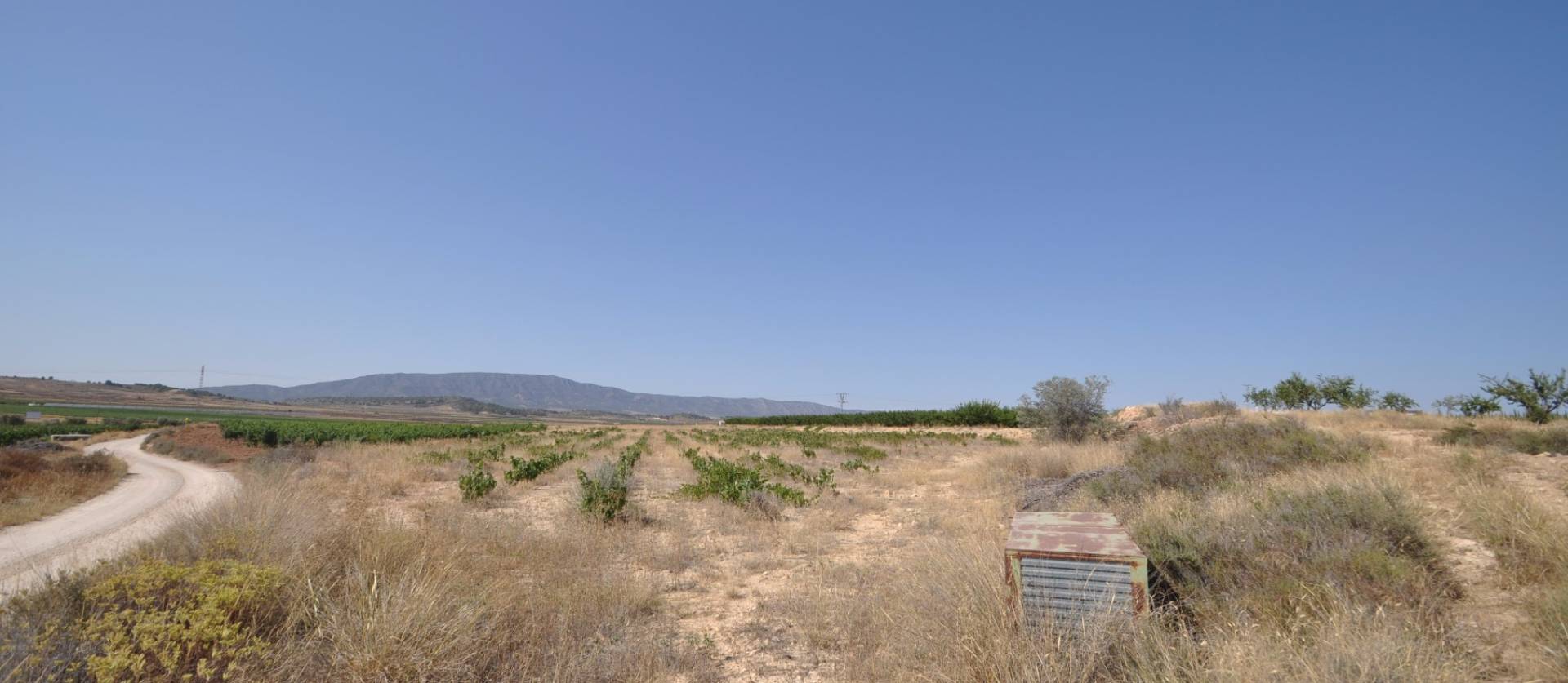 Revente - Land - Pinoso