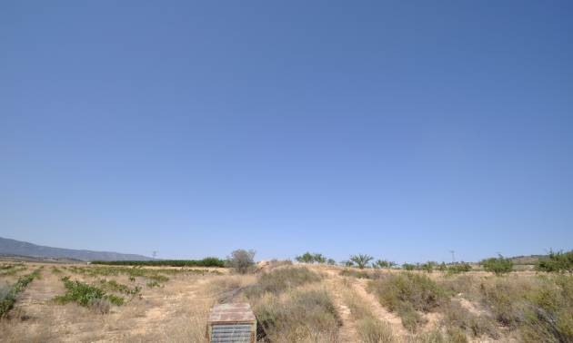Revente - Land - Pinoso