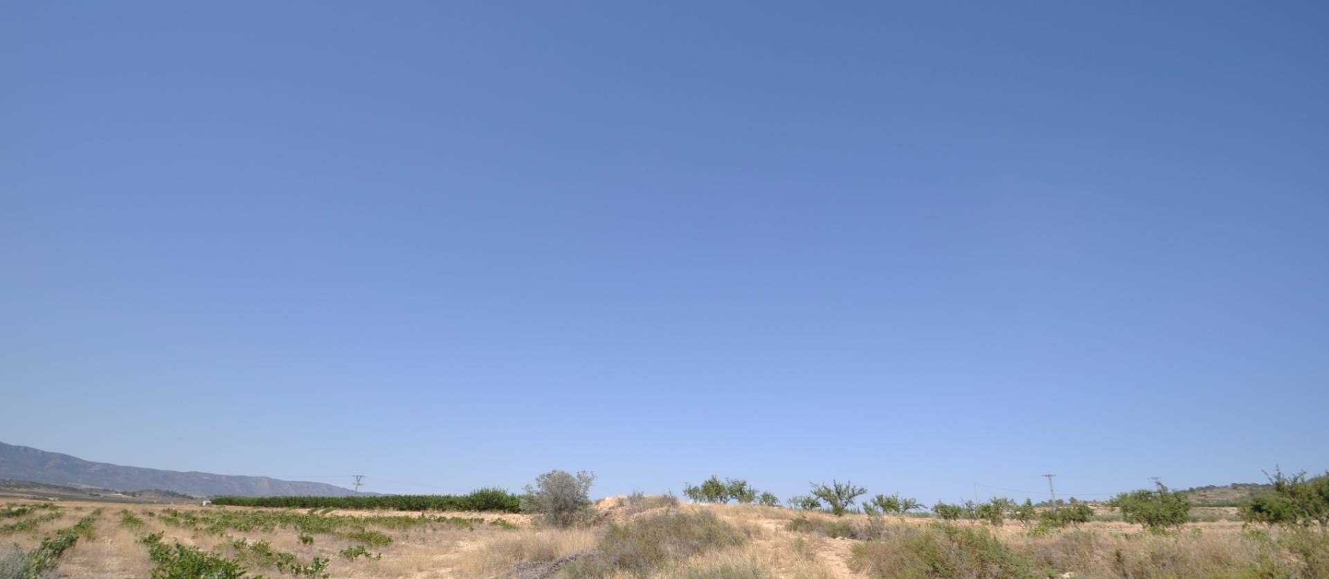 Revente - Land - Pinoso