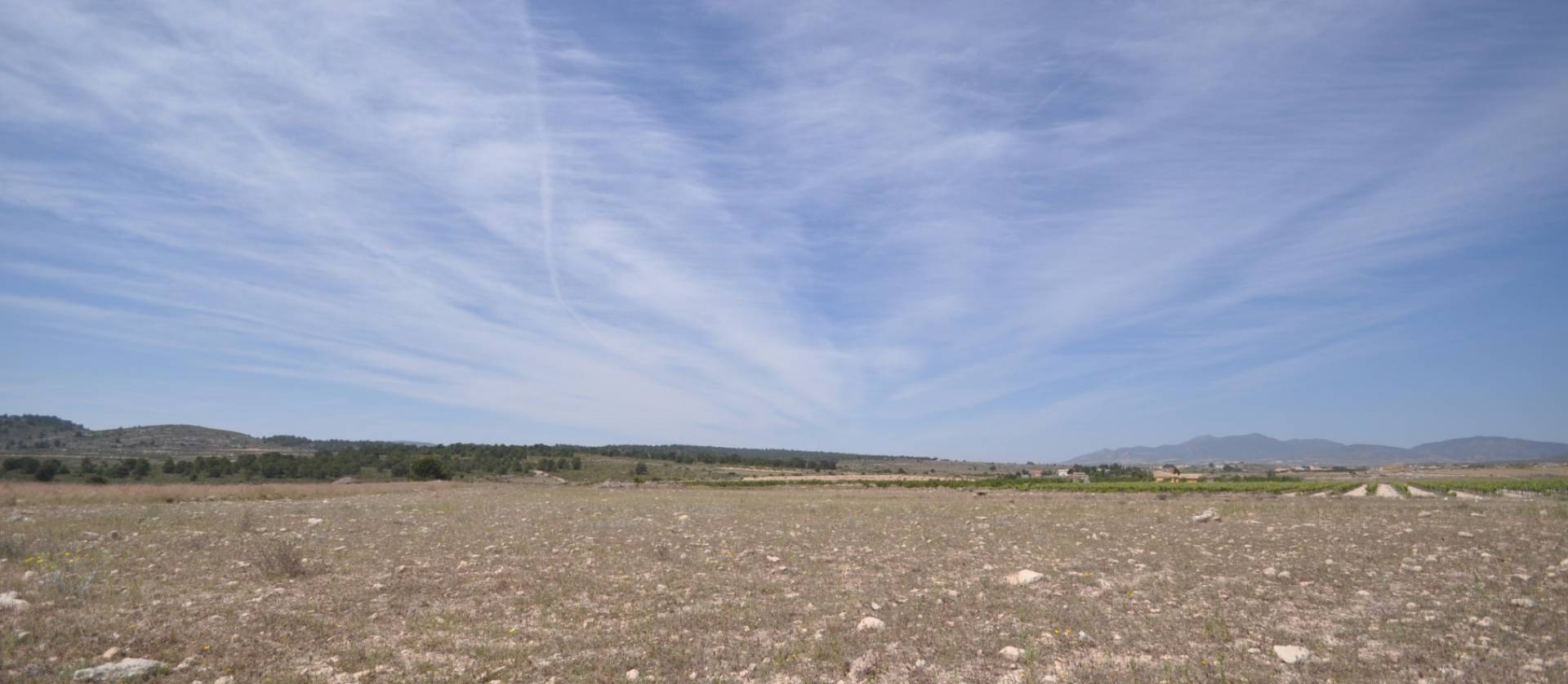 Revente - Land - Pinoso