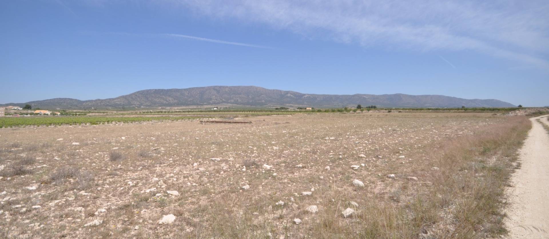 Revente - Land - Pinoso