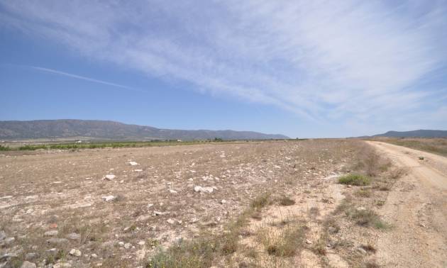 Revente - Land - Pinoso