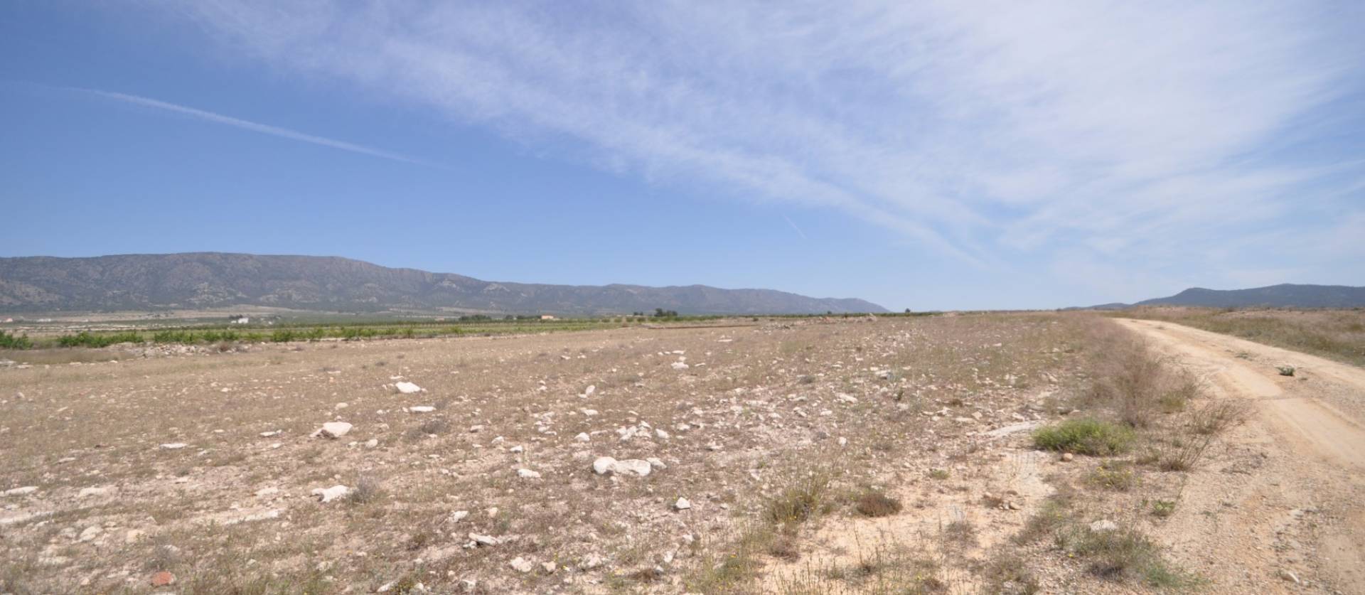 Revente - Land - Pinoso