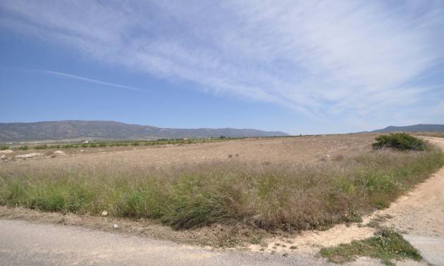 Revente - Land - Pinoso