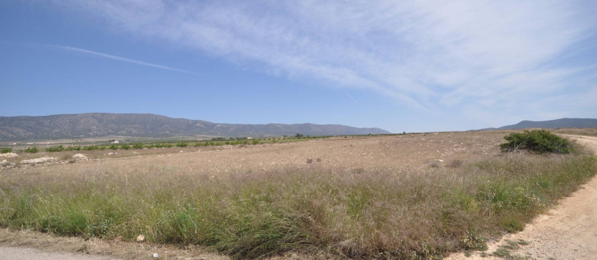 Revente - Land - Pinoso