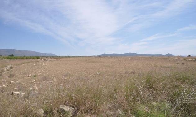 Revente - Land - Pinoso