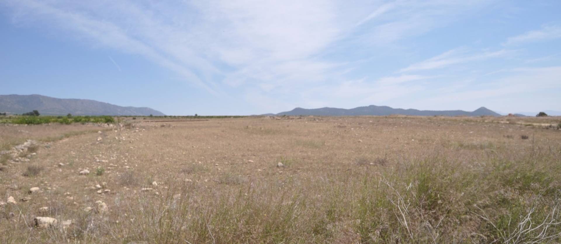 Revente - Land - Pinoso