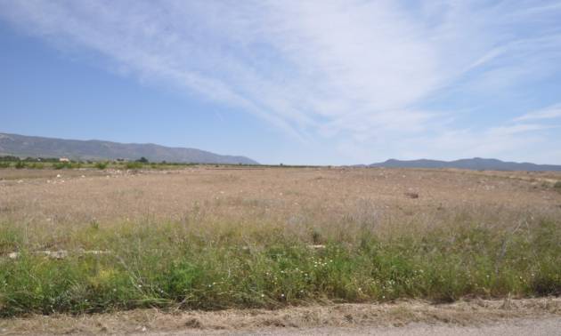 Revente - Land - Pinoso