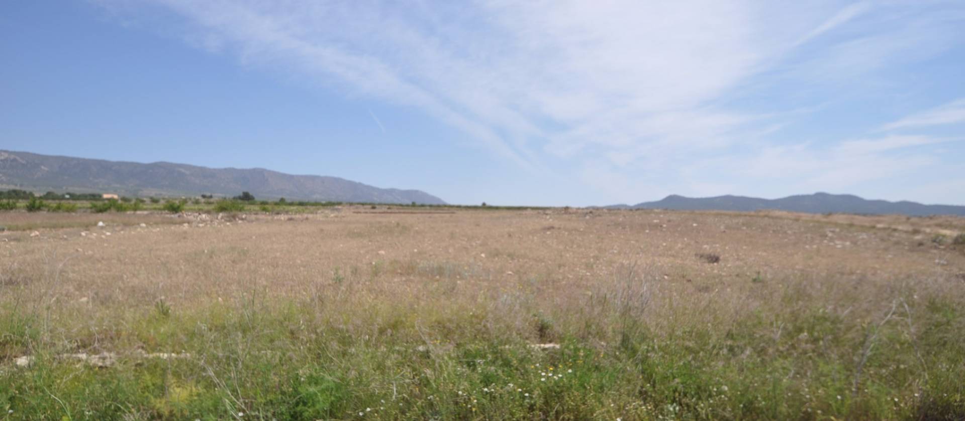 Revente - Land - Pinoso