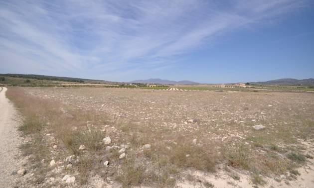 Revente - Land - Pinoso