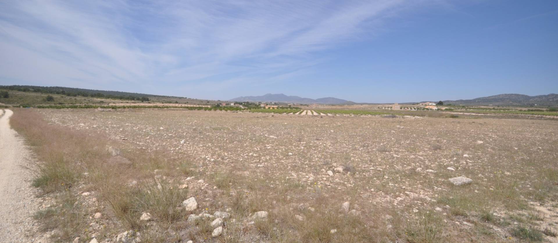 Revente - Land - Pinoso