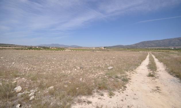 Revente - Land - Pinoso