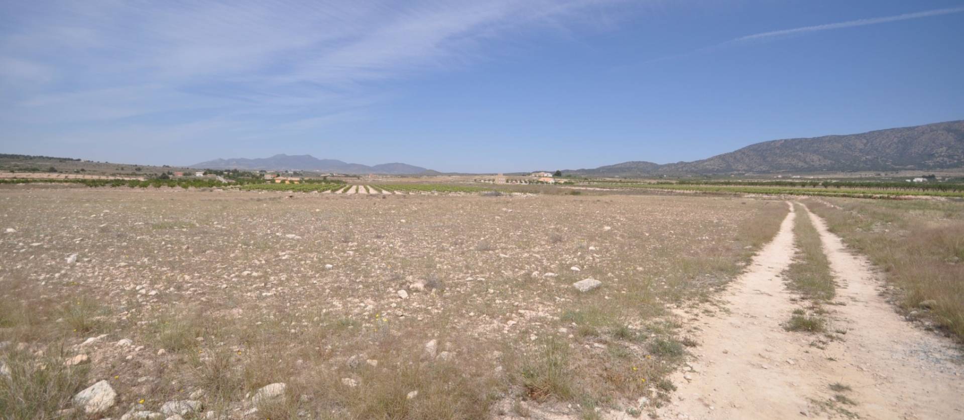 Revente - Land - Pinoso