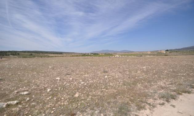 Revente - Land - Pinoso