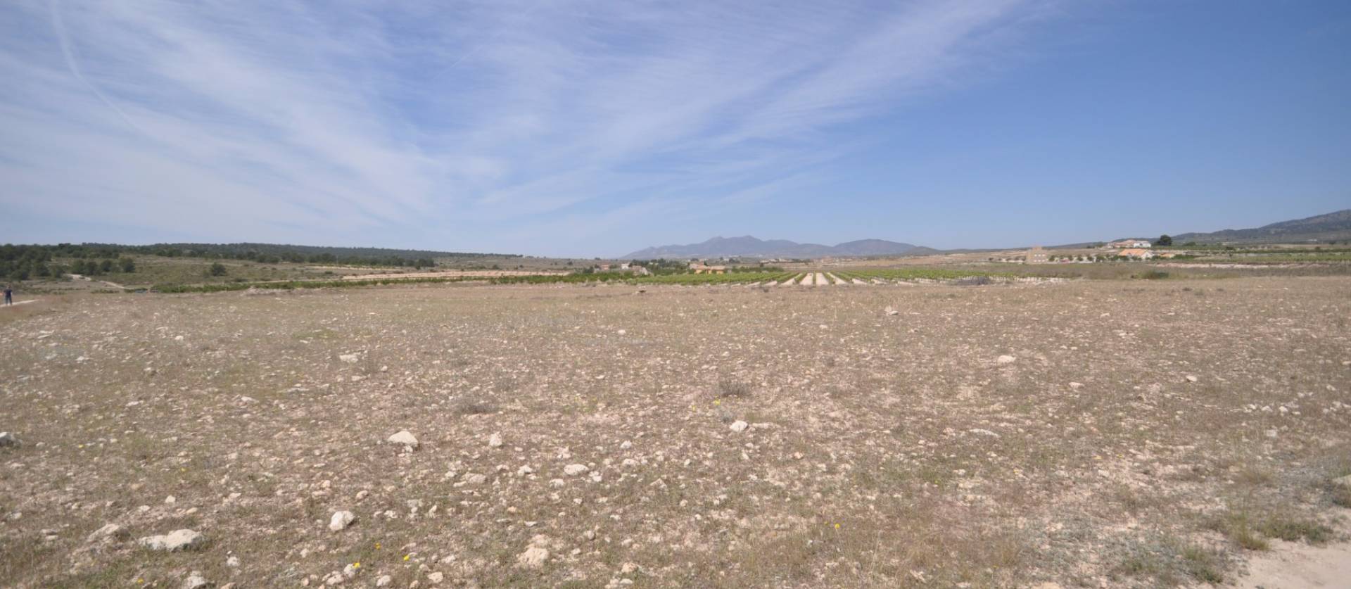 Revente - Land - Pinoso
