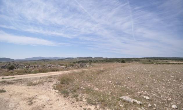 Revente - Land - Pinoso