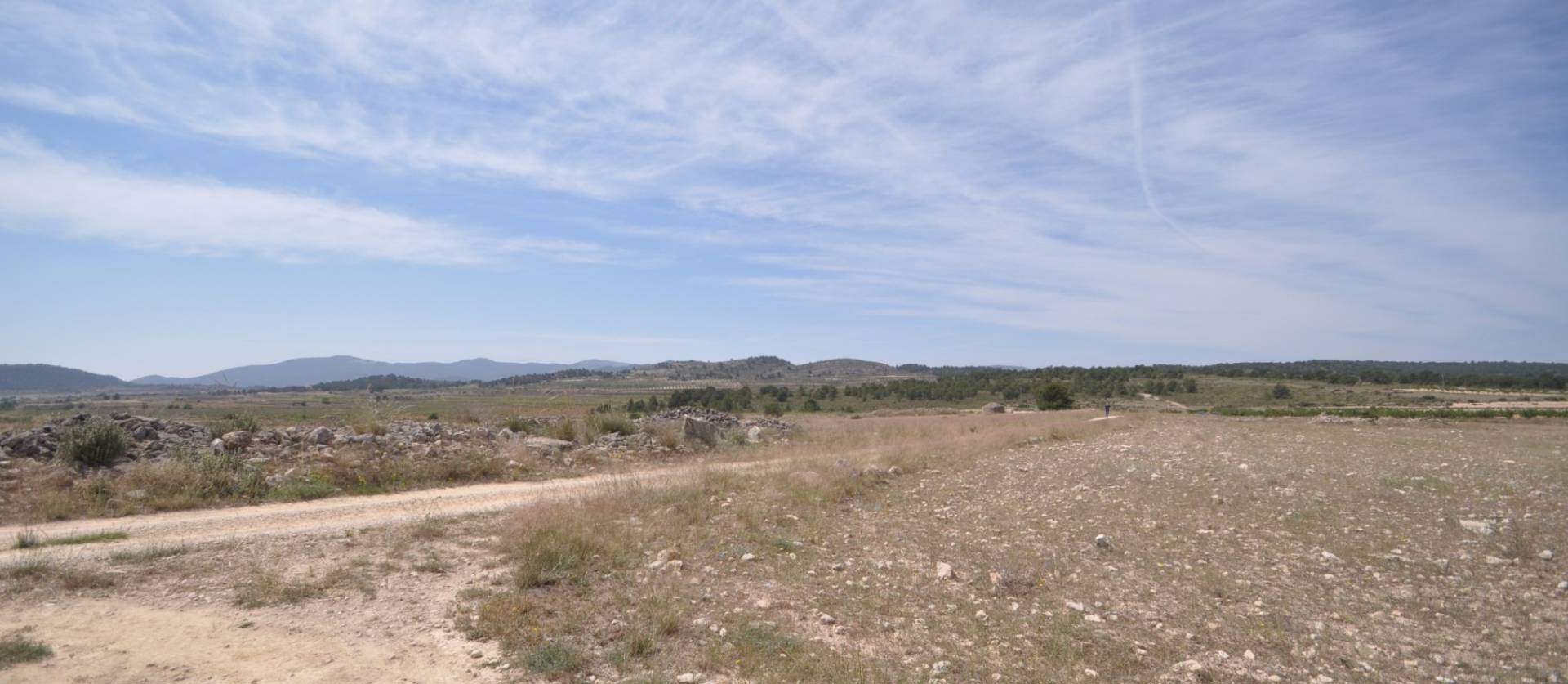 Revente - Land - Pinoso