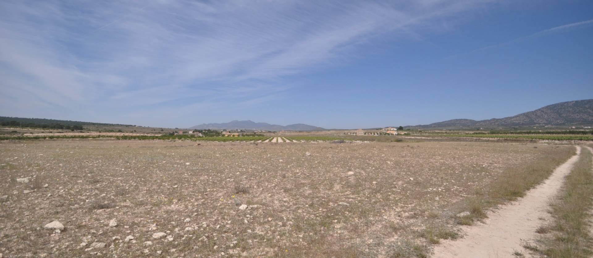Revente - Land - Pinoso