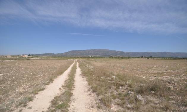Revente - Land - Pinoso
