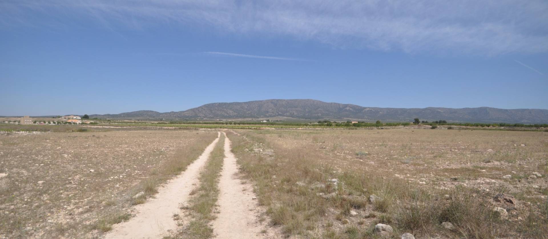 Revente - Land - Pinoso