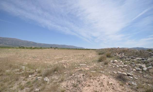 Revente - Land - Pinoso