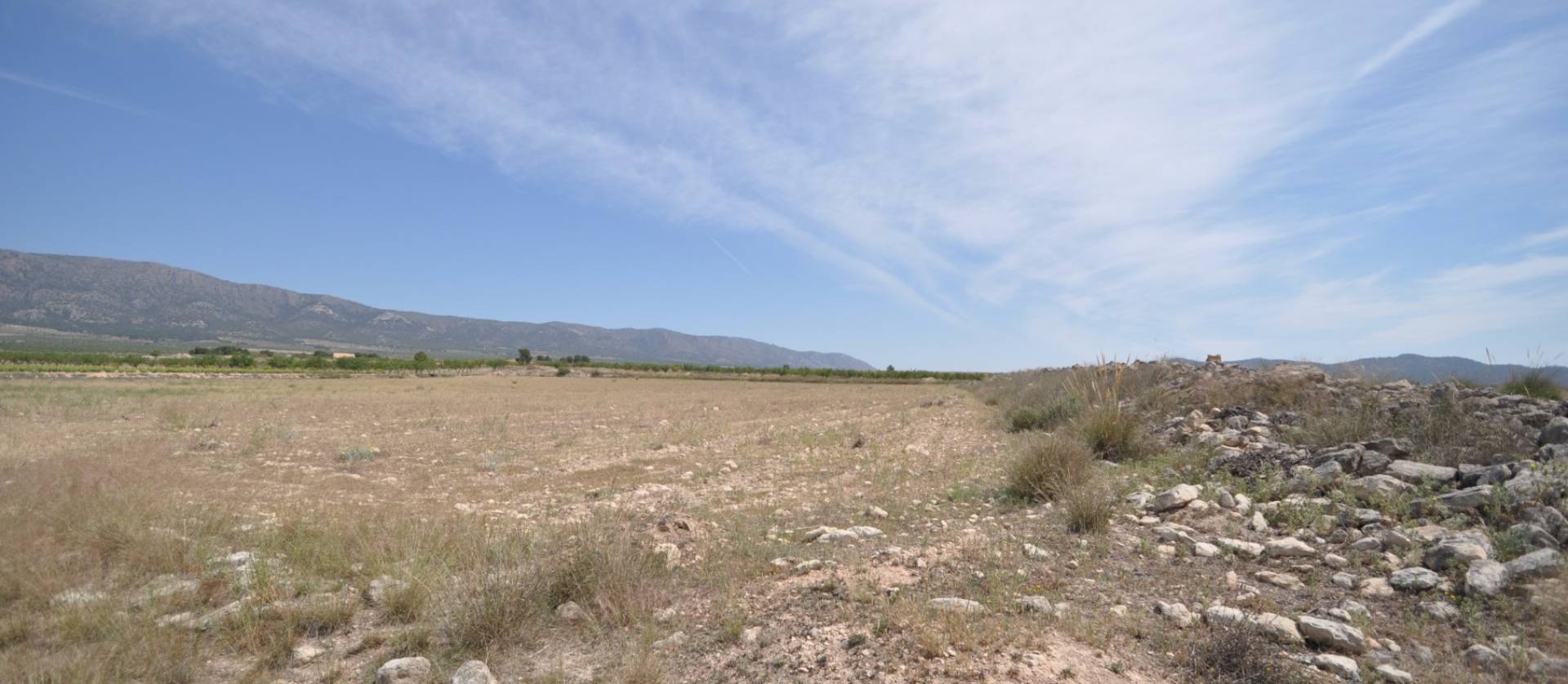 Revente - Land - Pinoso