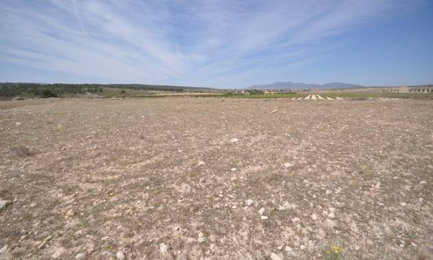 Revente - Land - Pinoso