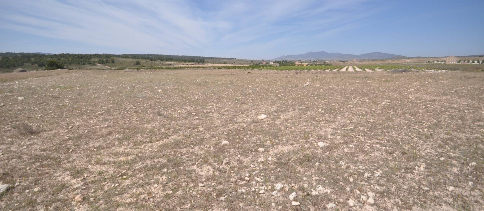 Revente - Land - Pinoso