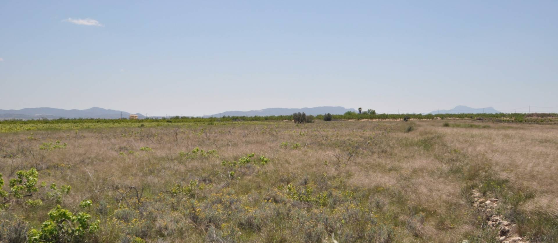 Venta - Land - Pinoso