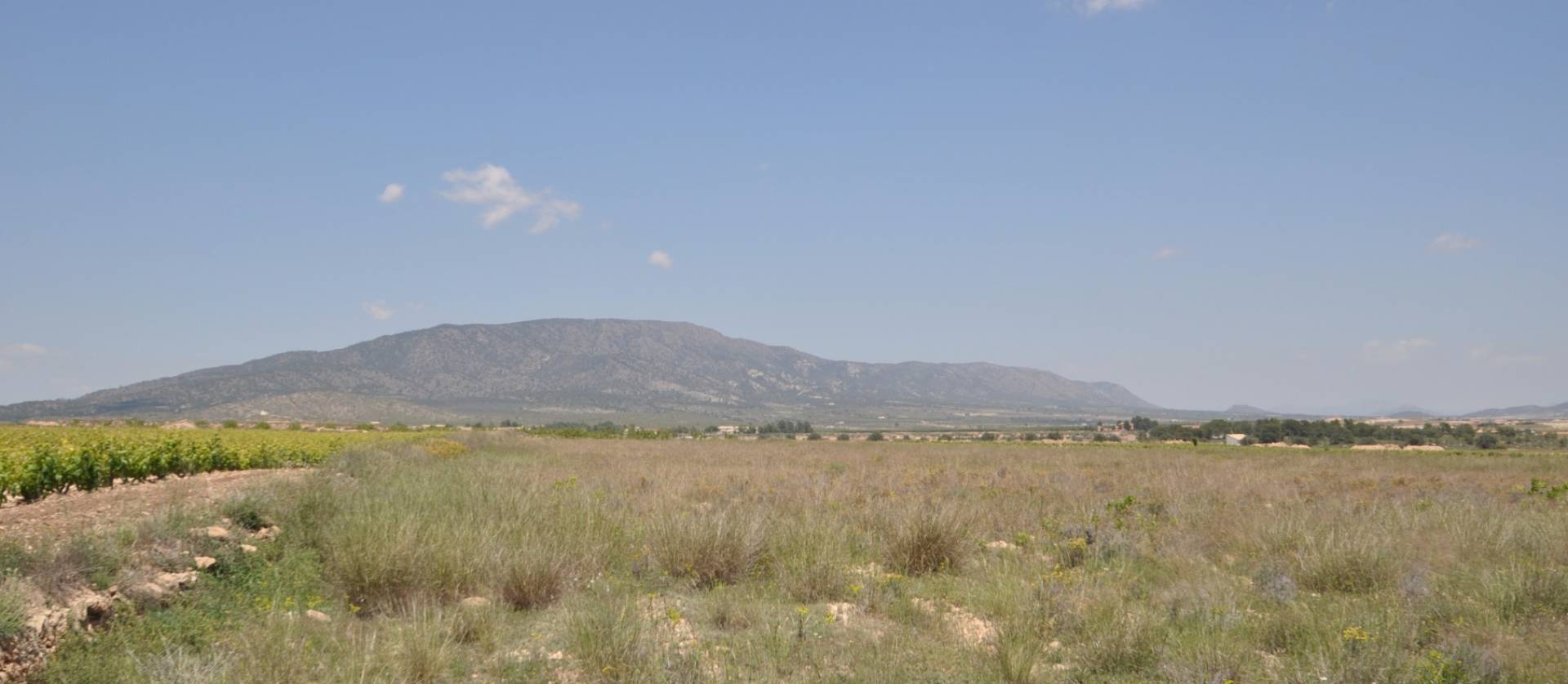 Venta - Land - Pinoso