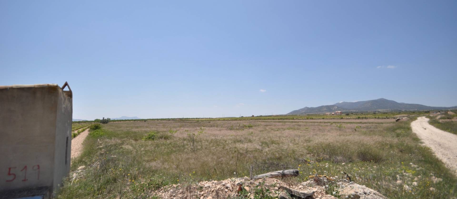 Venta - Land - Pinoso